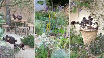 Drought-tolerant landscaping ideas – 8 solutions for a more sustainable backyard design