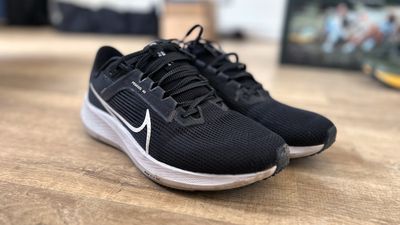 Nike Pegasus 40 review: tickety-boo