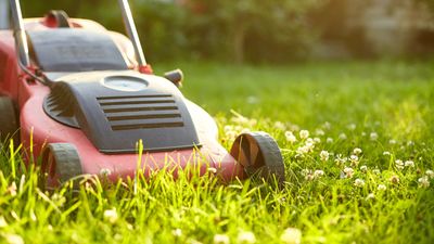 How often should you mow your lawn? Here’s what the experts say
