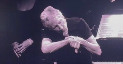 Extraordinary moment Manchester bee lands on Roger Waters halting AO Arena show