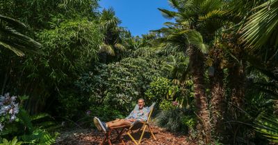 Dad spends 35 years creating a tropical jungle in his back garden