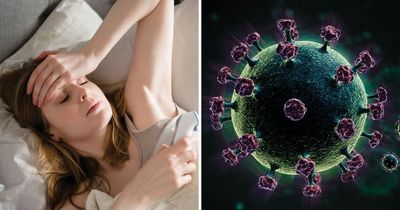 Covid, Lyme disease, MPOX: Warning viruses to make summer comeback as more pandemics feared