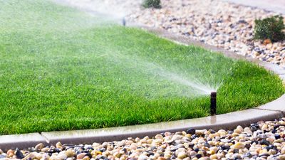 Should you water the lawn at night? Top lawn care experts give their verdict