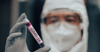 Wuhan scientists were 'creating world's most deadly coronaviruses' weeks before pandemic