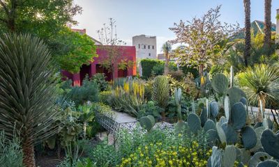 Marvellous Marrakech: finding your way around the maze of Morocco’s gem