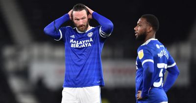 Cardiff City transfer news as Warnock told to snap up 'valuable' ex-Bluebirds duo and six pre-season fixtures announced