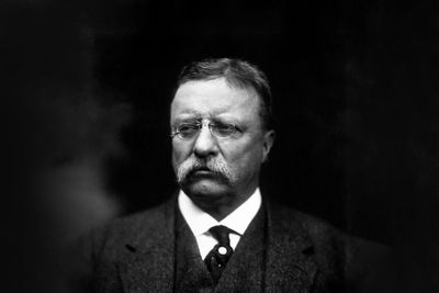 Teddy Roosevelt's massive racism