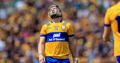 Clare told they should have had two frees at the end of Munster final loss to Limerick