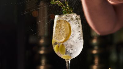 TikTok is saying the Hugo Spritz will be the cocktail of summer 2023 - here’s how to make it