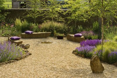 How to remove weeds from gravel – 4 expert-approved methods to tackle this tricky to maintain spot