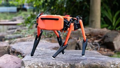 Raspberry Pi Quadruped Provides Low-Cost Research Solution