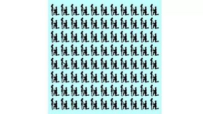 Only those with good observation skill can spot the odd couple in 5 seconds