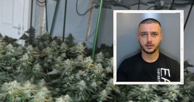 Albanian man entered UK illegally to set up cannabis farm in County Durham home