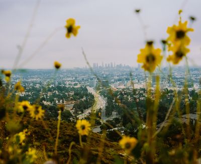 LA's top make-out spots hint at a city constantly evolving