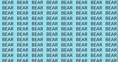 Only a true brain whizz can decipher word bare hidden in sea of bears in 10 seconds