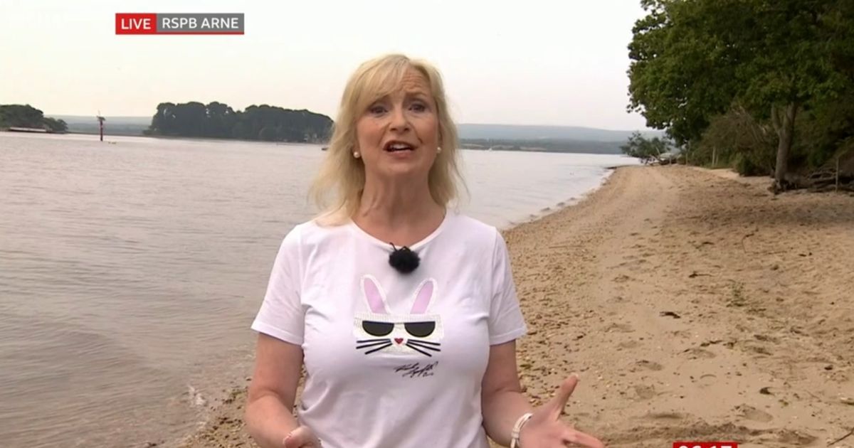 Carol Kirkwoods Outfit Distracts Viewers On Bbc