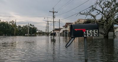 El Niño 2023 is officially here and could bring record temperatures, floods, droughts and wildfires