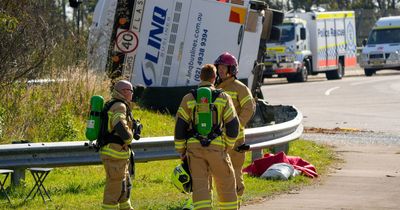 Wedding day horror as 10 guests killed after bus flips over in crash