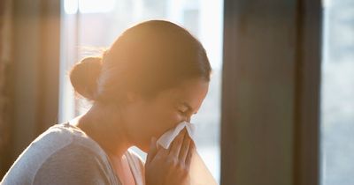 Hay fever sufferers urged to make important changes at home to reduce symptoms