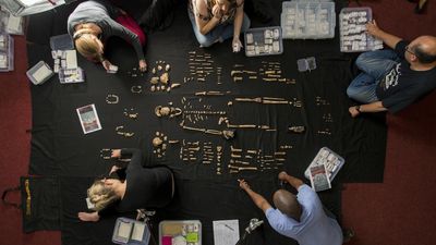 Major new research claims smaller-brained Homo naledi made rock art and buried the dead. But the evidence is lacking