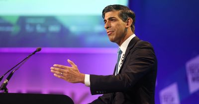 Rishi Sunak says UK should lead world on AI regulation