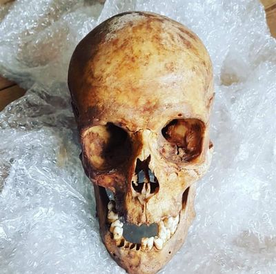 Readers on their strangest attic finds: ‘I opened the box and screamed bloody murder’