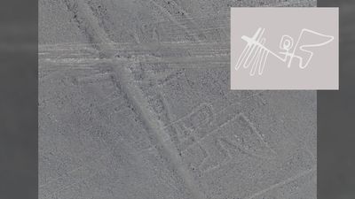 AI identifies 3 more 'Nazca Lines' figures in Peru