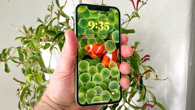 iPhone wallpaper — how to change your iPhone's look and where you can find more options