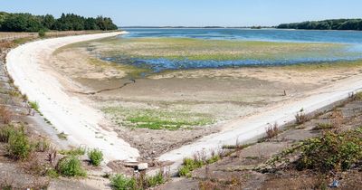 'Record high' temperatures coming with torrential rain and drought thanks to El Nino