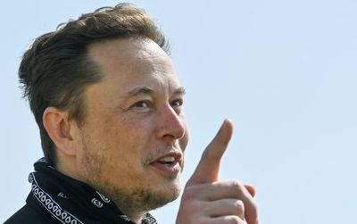 Elon Musk Names Biggest AI Winners