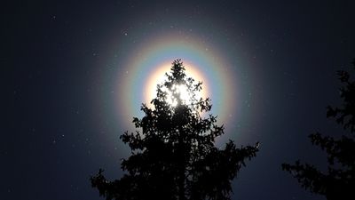 Shining rainbow rings around the sun photographed in Finland. What caused them?