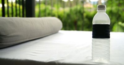 Flight attendant warns 'always throw a water bottle under the bed' in hotel rooms