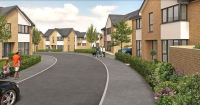 Developer reveals plans for 'high quality family homes’ at greenfield 'infill' site