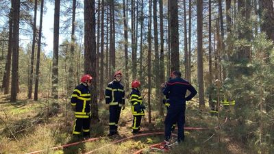 Highest-level fire warnings for eastern France following 6-week drought