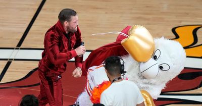 Dana White reacts to Conor McGregor hospitalising Miami Heat mascot