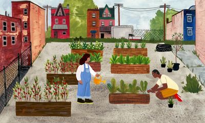 ‘Everything is natural and tastes so good’: microfarms push back against ‘food apartheid’