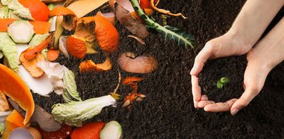 The case for compost: why recycling food waste is so much better than sending it to landfill