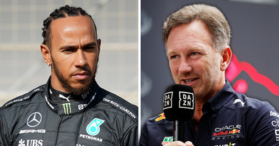 Christian Horner suggested Mercedes had told Lewis Hamilton to 'b****' about his agony