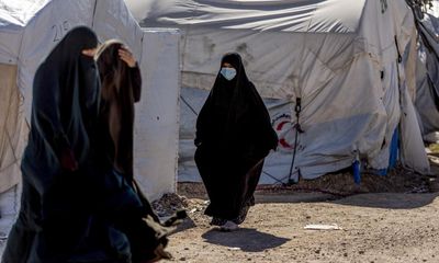 Gillian Anderson and Stanley Tucci back calls to rescue British families in Syria