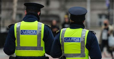 Gardai 'feared for their lives' as stolen car rammed into patrol vehicle in chase spanning two counties