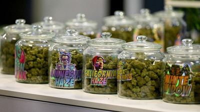 France bans sale of HHC, the first semi-synthetic cannabis found in Europe