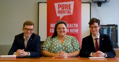 Mental health group setting up committees in schools to 'change the culture' around mental health