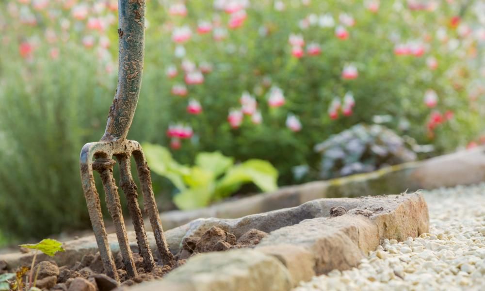 Stop the spadework! How nodig gardening helps the…