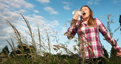 One food can help with hay fever symptoms, experts say