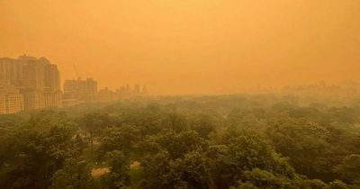 Former Nottingham Bond girl describes the surreal moment wildfire smog descended on New York