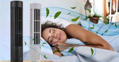 Wowcher slashes cost of fan to £13 from £40 as thousands claim deal - here's how