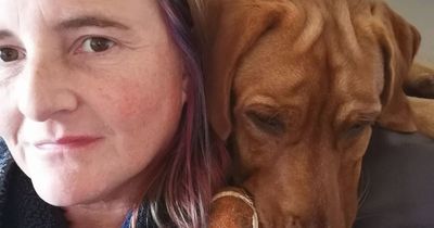 Devastated mum's warning as beloved dog chokes to death playing fetch