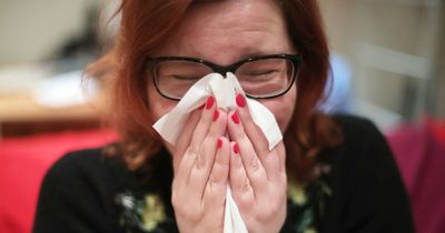 Experts reveal one food that will improve your hay fever symptoms when pollen count is high