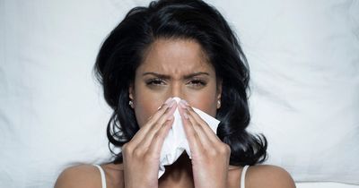 Seven hay fever hacks to ease your symptoms this summer