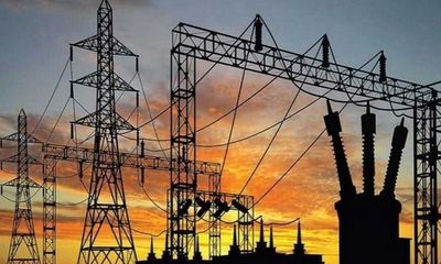 Delhi's peak power demand crosses 7000 MW, highest this season